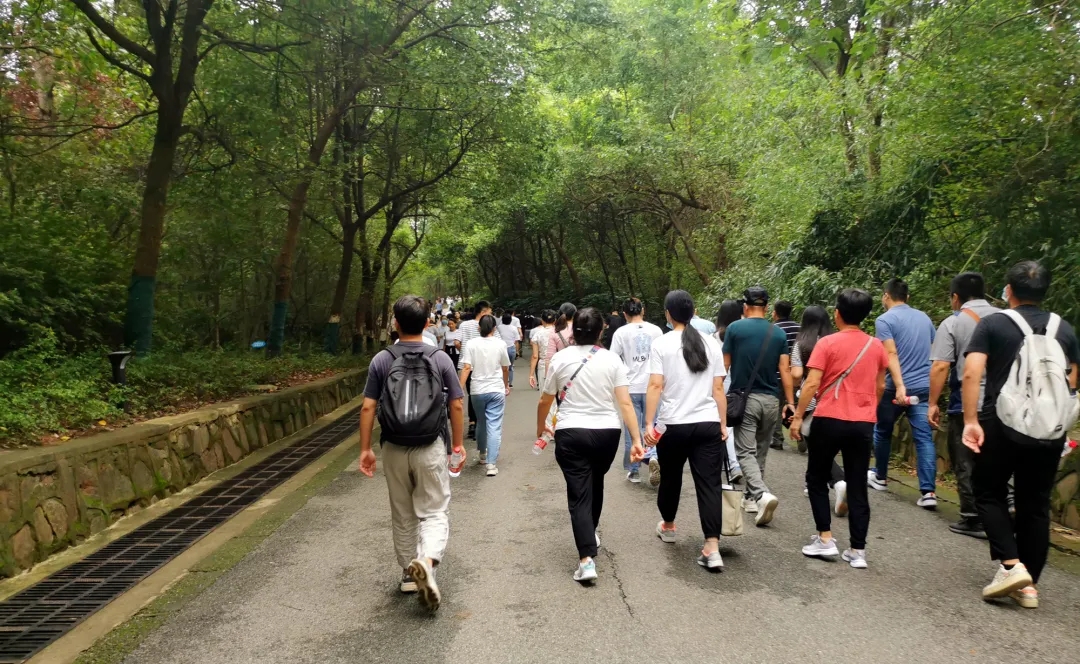 【动态】认真工作,快乐生活——3499拉斯维加斯官网科技六周年登山活动圆满落幕 【动态】认真工作,快乐生活——3499拉斯维加斯官网科技六周年登山活动圆满落幕