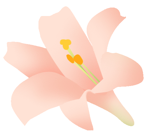 【动态】春日有约 遇见“莓”好—— 安徽3499拉斯维加斯官网女神节采摘活动 【动态】春日有约 遇见“莓”好—— 安徽3499拉斯维加斯官网女神节采摘活动